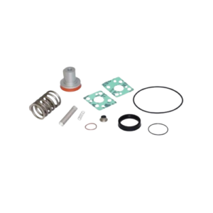 Ремкомплекти впускних клапанів Dalgakiran